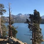 Michael Westall - @westall_michael - Instagram