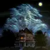 Michael Wetter208 - @karimshakeela - TikTok