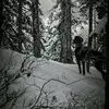michaelwhaley326 - @michaelwhaley326 - TikTok