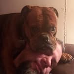 Michael Wheaton - @mike_wheaton14 - Instagram