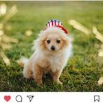 Michael Whelpley - @michaelwhelpley - Instagram