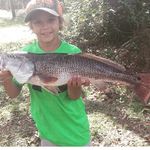 Michaelwhidden - @michaelwhidden4 - Instagram