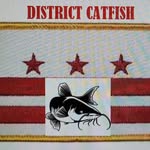 Michael K. Whiffen - @districtcatfish - Instagram