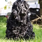 Michael Whipp - @mikeywhipp - Instagram