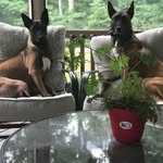 Michael Whitecotton - @michael.whitecotton.90 - Instagram