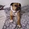 Michael Wicker - @michael.wicker7 - TikTok