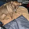 michaelwicker - @michael.wicker6 - TikTok