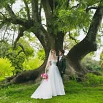 Michael Wickham - @mick_wickham - Instagram