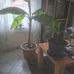 Michael Wieneke - Facebook