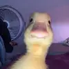Michael Wierzbicki - @michael_wierzbicki18 - TikTok
