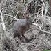 Michael Wigg - Facebook