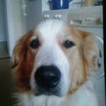 Michael Wiggers - @michael.wiggers.1865 - Instagram
