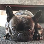 Michael Wilbraham - @mickwilbraham - Instagram