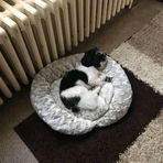 Michael Wilcoxson - Facebook