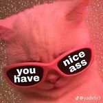 Michael Willard - @michael.willard.31149 - Instagram
