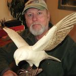 Michael Willard - @wood2birds - Instagram