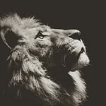Michael Willer Jr - @kingwillerjr - Instagram