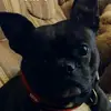 michaelwillmore - @michaelwillmore - TikTok