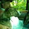 Michael Willover - @michael.willover - TikTok
