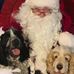 Michael Wilmott - Facebook