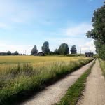 Michael Wilner - @wilner_michael - Instagram