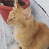 Michael Windle - @michael.windle1 - TikTok