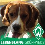 Michael Winkelmann - @michael.winkelmann.946 - Instagram