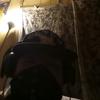 michaelwinkle819 - @michaelwinkle819 - TikTok