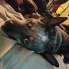 Michael Winningham - @michaelwinningham7 - TikTok