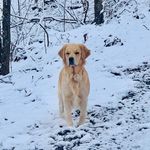 Michael Winslett - @aintskeered41 - Instagram
