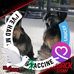 Mick Winterton - Facebook