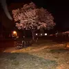 ✞ - @wire.michael - TikTok