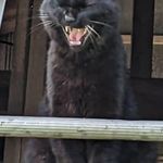 Michael Wires - @wires359 - Instagram
