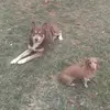 Michael Wires - @michael.wires - TikTok
