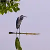 Michael Wycombe - @michael.wycombe - TikTok