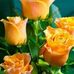 Michael Wiskur - Facebook