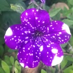 Michael Wiss - @michael.wiss - Instagram