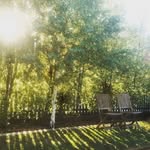 Michael Wiss - @divergentthinker_ - Instagram