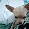 michaelwist875 - @michaelwist875 - TikTok