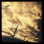 Michael Witherington - @jollysiterp - Instagram