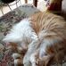 Michael Witkowski - Facebook