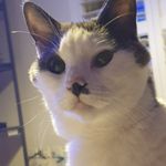 Michael Witting - @shadowsloth941 - Instagram