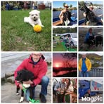 Michael Wittkopp - Facebook