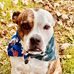 Mike Wittmeyer - Facebook