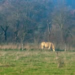 Michel Witzig - @mw.nature.photographer_ - Instagram