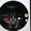 Michael Wohl - @michael.wohl - TikTok
