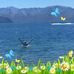 Micheal Willetts - Facebook