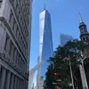 Michael Wolfe - @michaelwolfe01 - TikTok