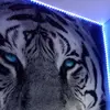 Michael Wolfer970 - @my_best_friend84 - TikTok
