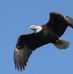 Michael Wolfer - Facebook